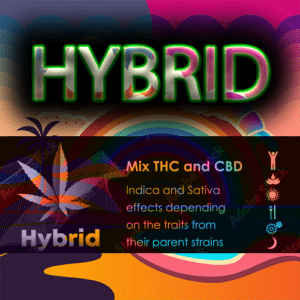 Hybrid Hash