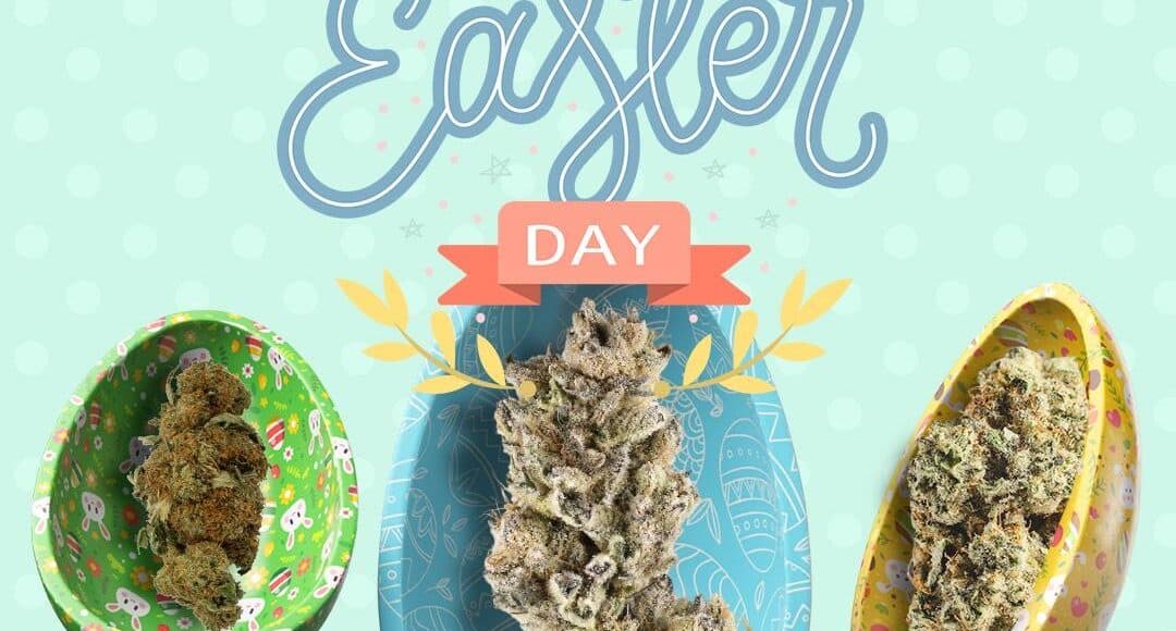 Cannabis Legalized In Germany - Easter 2024